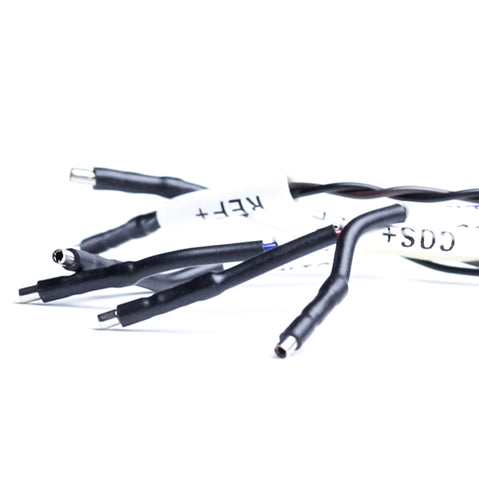 6 Position Flying Leads with 1.0mm Socket Contacts