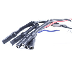 6 Position Flying Leads with 1.6mm Socket Contacts